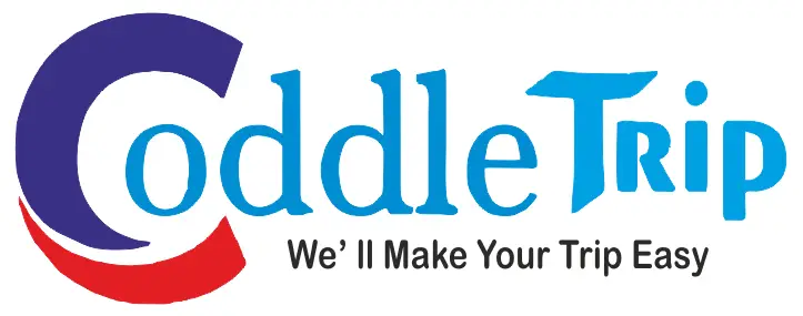 coddletrip logo white background